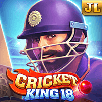 Cricket King 18 game screenshot